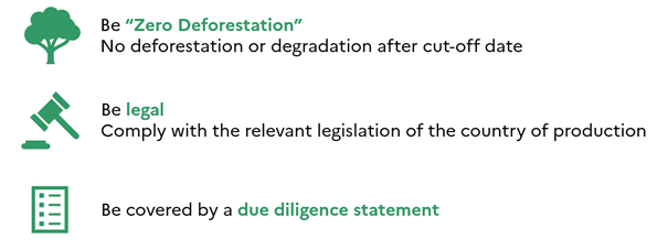 Requirements of the regulation