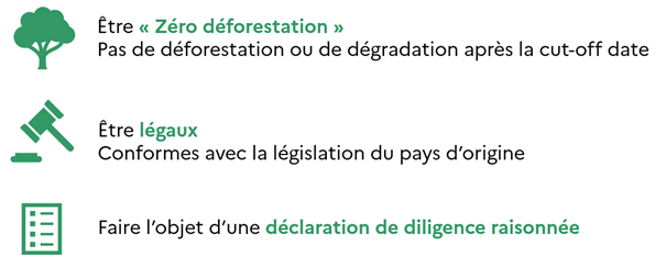 Les exigences du règlement